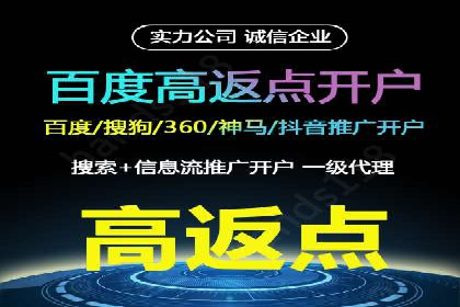 SEM投放策略优化案例分析
